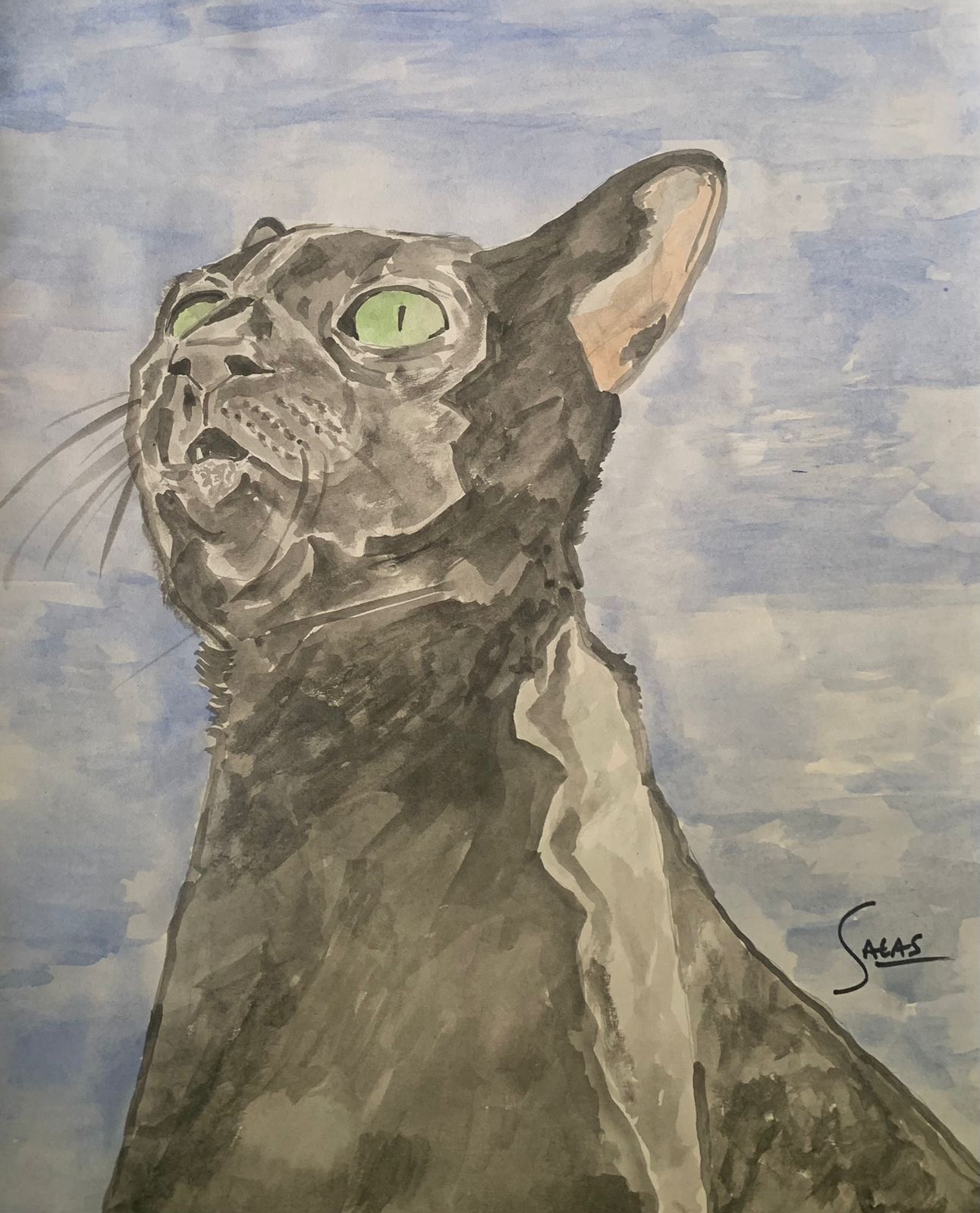 Chester II, Acuarela, 2025